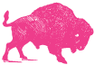 CocoFlamingo_BuffaloIcon