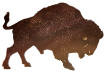 RollinDeep_BuffaloIcon