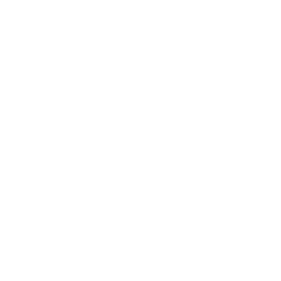 WILD-LEAP-LOGO_HomePage_Video