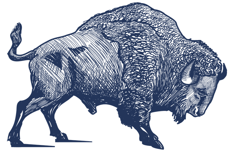 About-Us-Original-Wild-Leap-Buffalo About-Us-Original-Wild-Leap-Buffalo