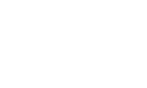 About Wild Leap About Wild Leap