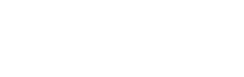 About-Us-Subheader-Whats-Next-For-Wild-Leap About-Us-Subheader-Whats-Next-For-Wild-Leap