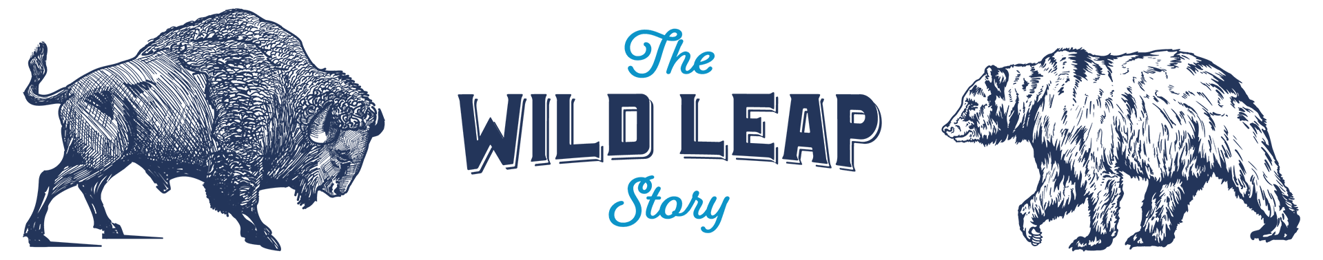 About-Us The-Wild-Leap-Story About-Us The-Wild-Leap-Story