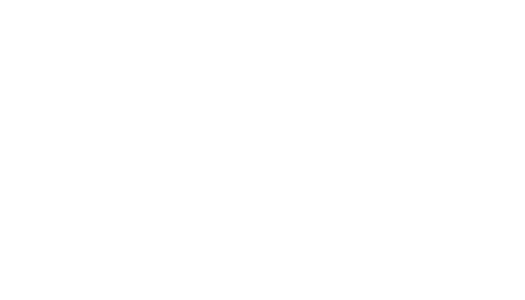 About-Us-Wild-Leap-Bear About-Us-Wild-Leap-Bear